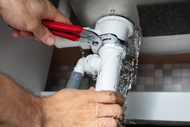 Best Water damage contractors near me  in Lexington, SC