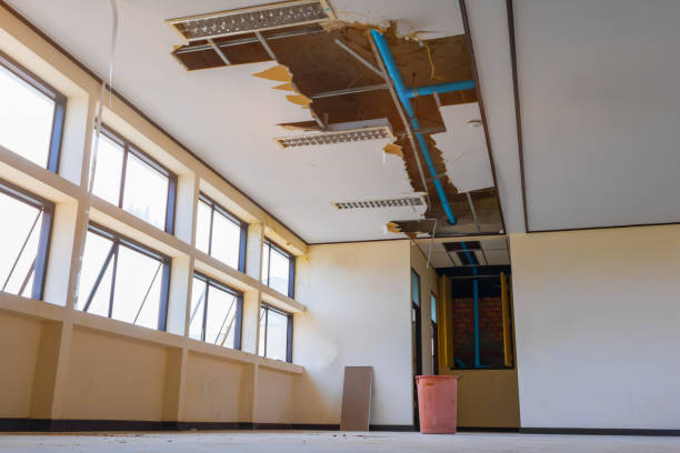 Best Basement water damage restoration  in Lexington, SC