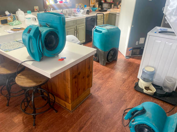 Best Flooded house restoration  in Lexington, SC