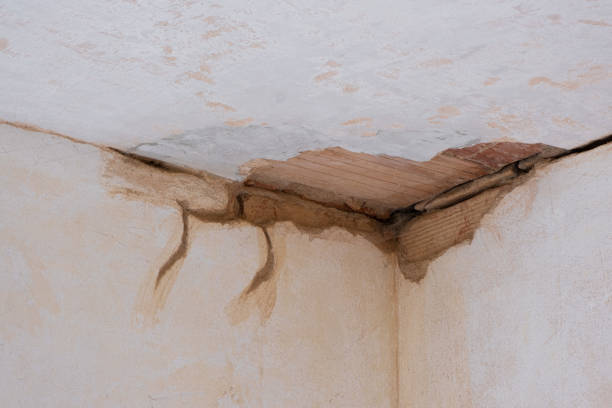 Best Sewage cleanup and water damage restoration  in Lexington, SC