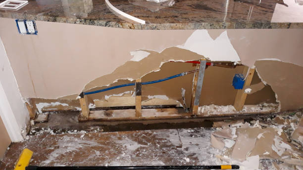 Best Ceiling water damage repair  in Lexington, SC