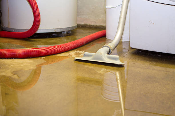 Best 24-hour water damage restoration  in Lexington, SC