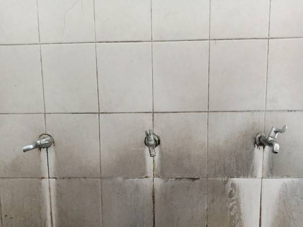 Best Water damage restoration near me  in Lexington, SC