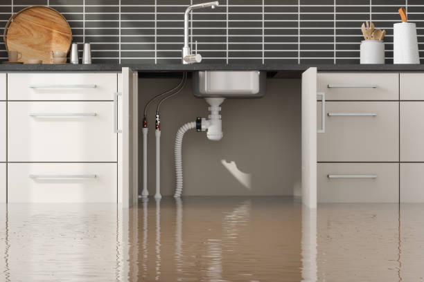 Best Mold removal after water damage  in Lexington, SC