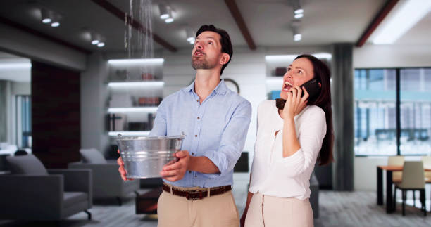 Best Local water damage restoration  in Lexington, SC