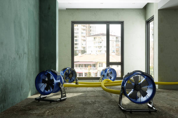Best Water damage restoration experts  in Lexington, SC