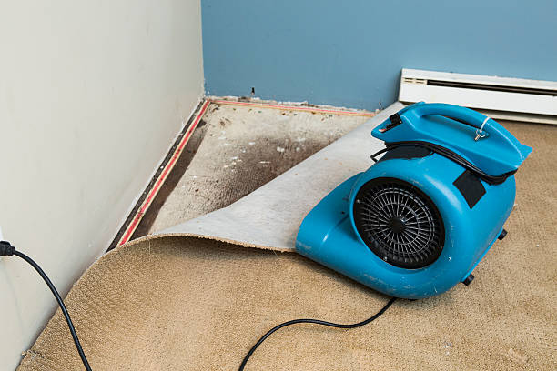 Best Emergency water damage restoration  in Lexington, SC