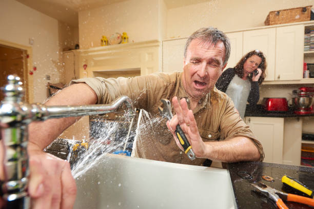 Best Water damage restoration specialists  in Lexington, SC